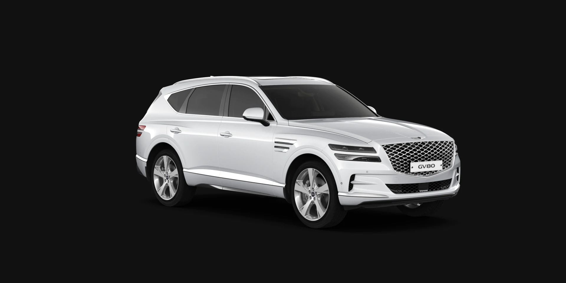 תמונה של הדגם