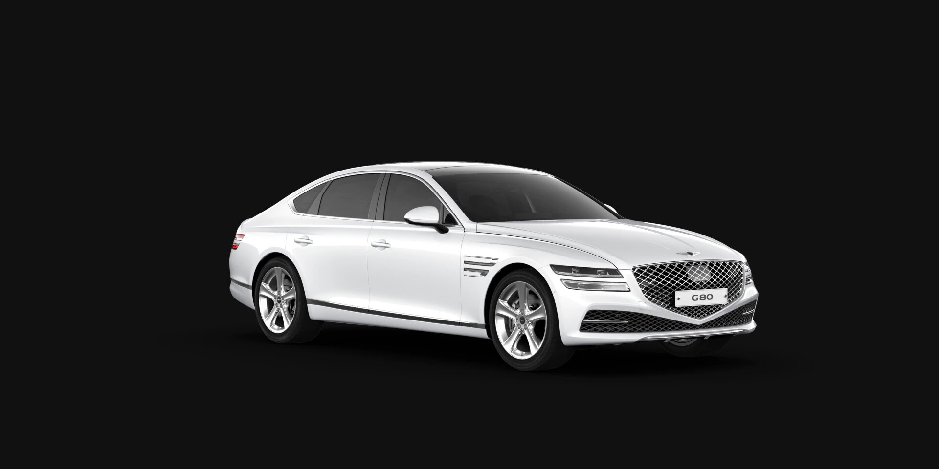 תמונה של הדגם