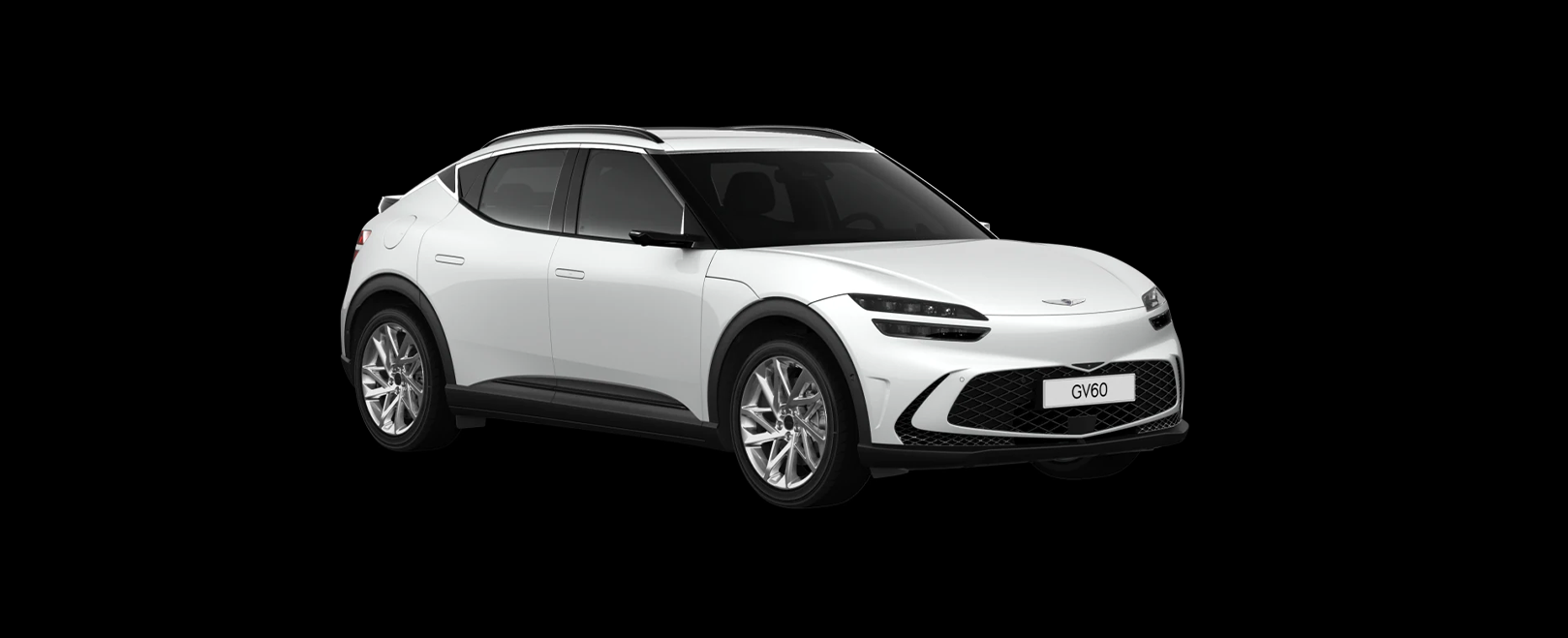 תמונה של הדגם